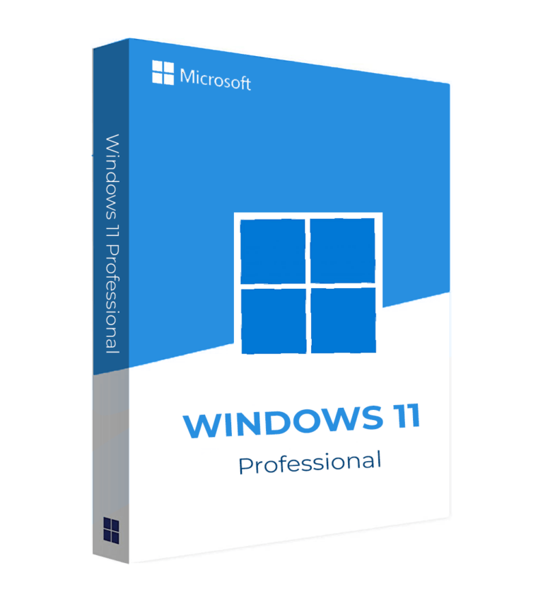 microsoft windows 11 professional